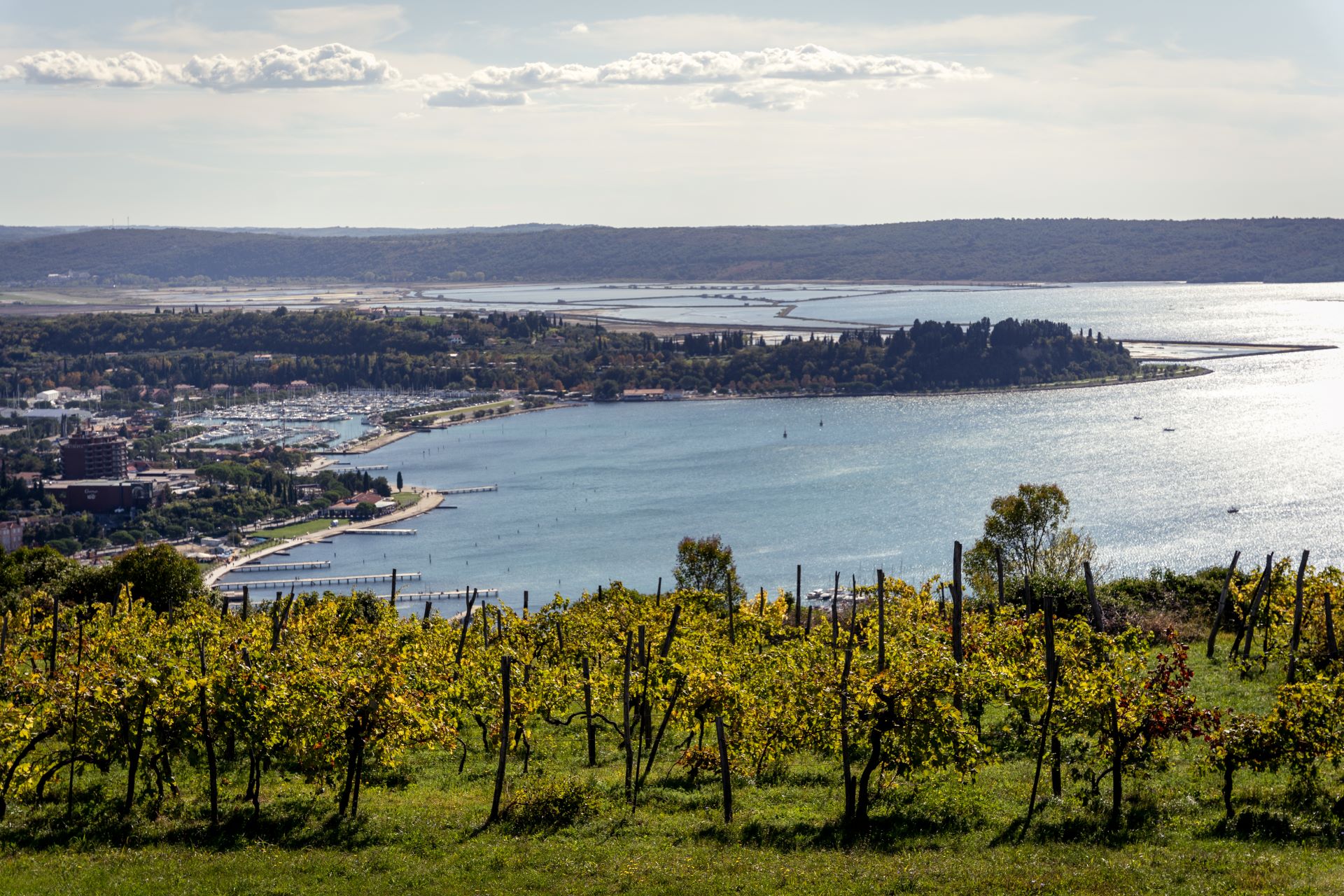 Pogled na Portorož in Piranski zaliv z vinogradov.