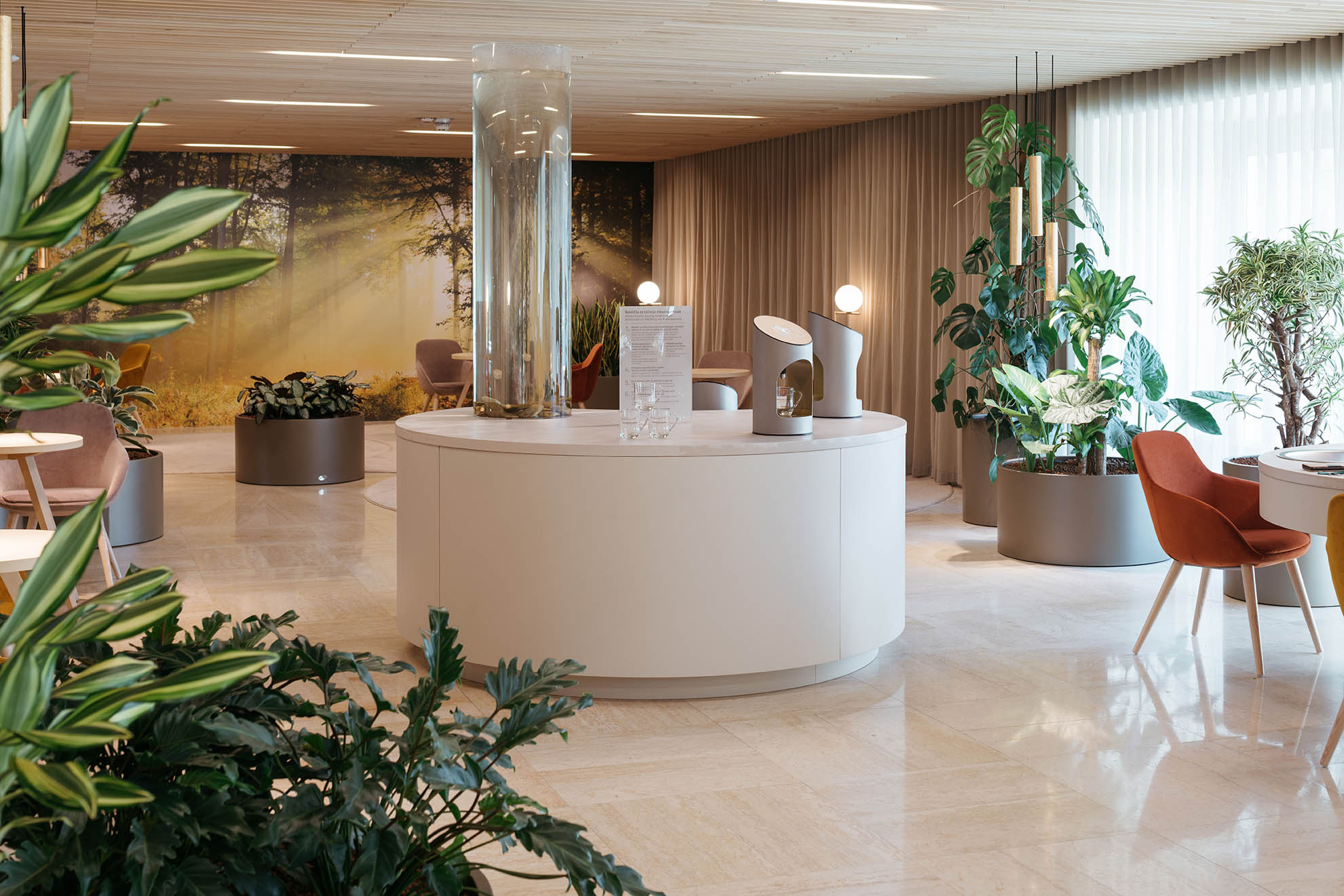 Prijetno opremljen prostor z rastlinami, mizo, stoli in pultom, kjer stojijo naprave za vodo