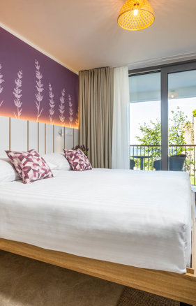 Hotel Vile Park Premium