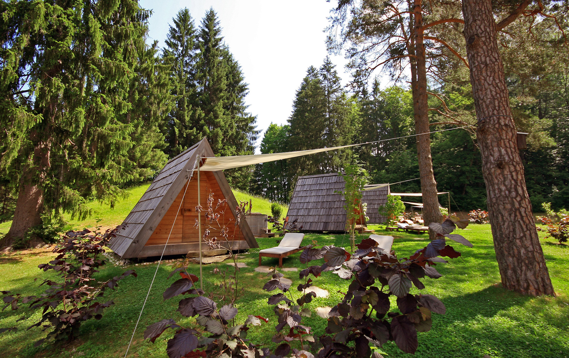 Glamping hišice na jasi ob zeleni naravi in visokih drevesih