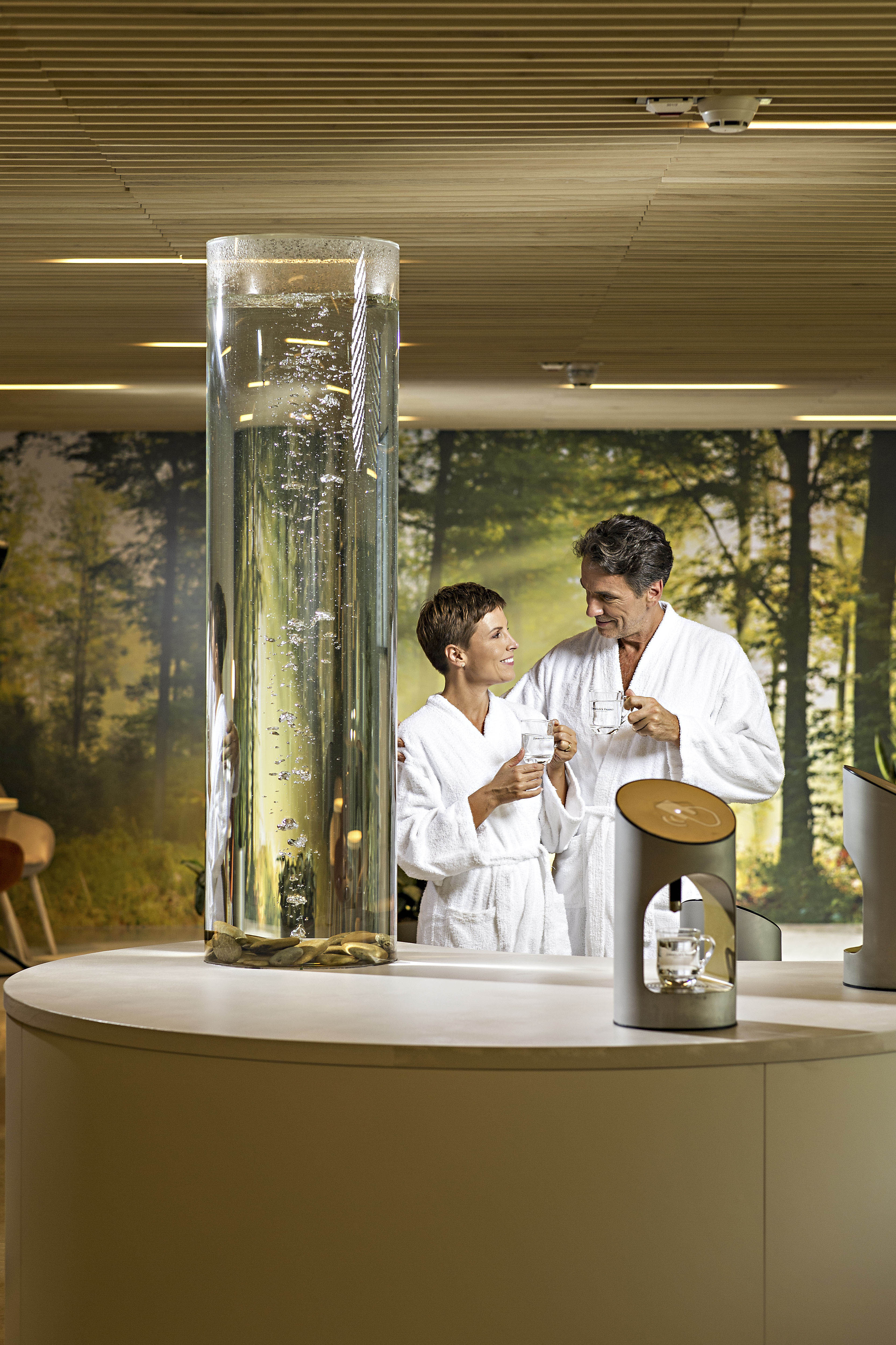 Terme Zdravilišče Radenci